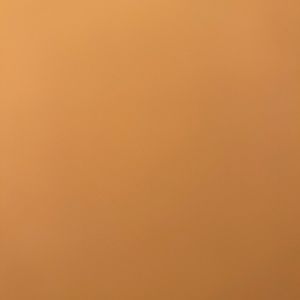 Meet your Posher, Jim